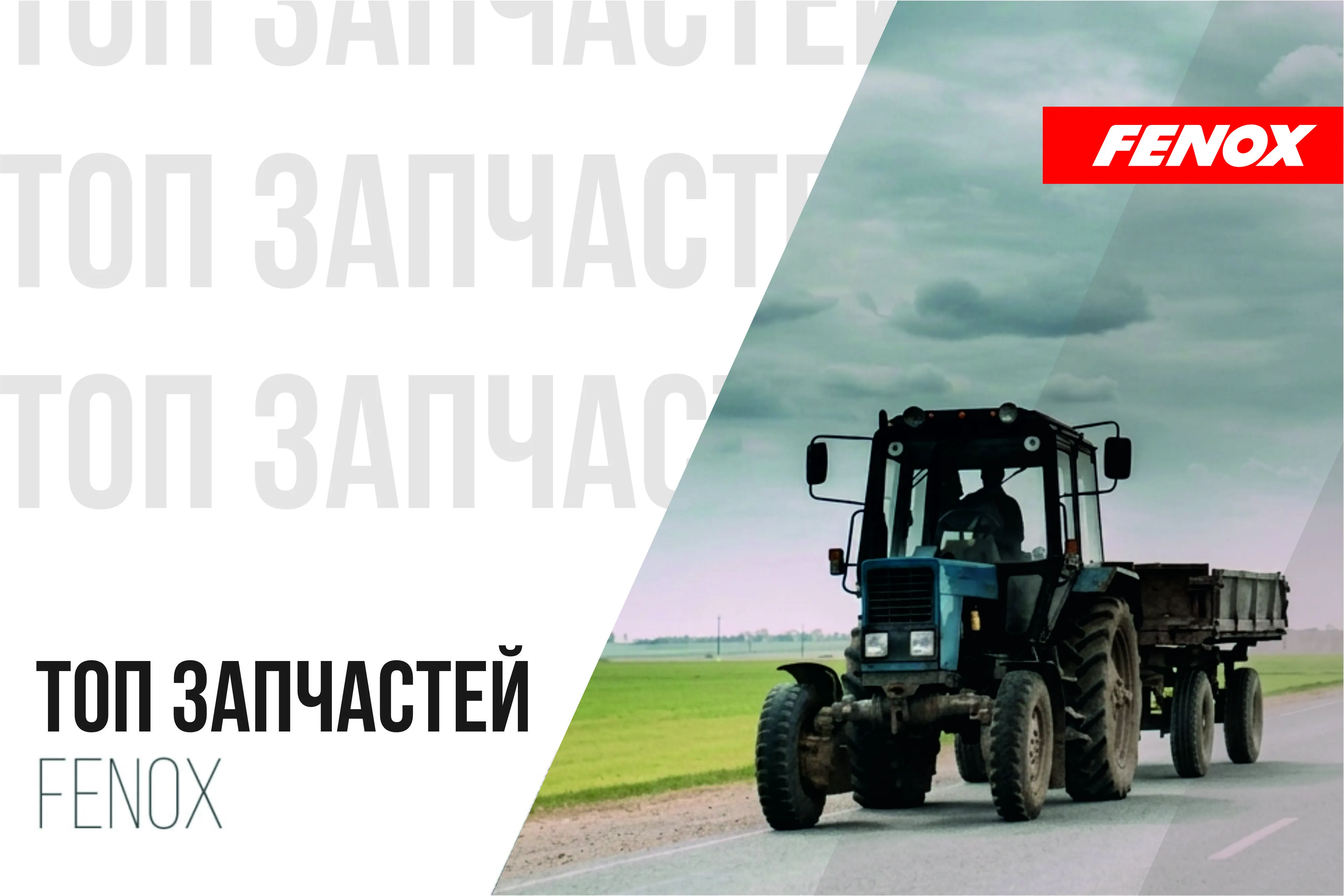 ТОП запчастей FENOX в июне