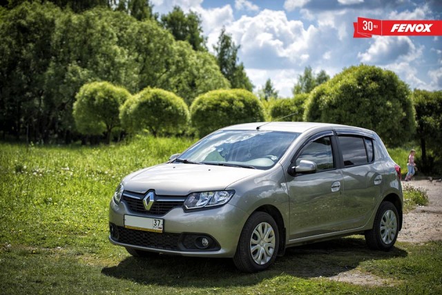 Запчасти FENOX для Рено Сандеро/Сандеро Степвей (Renault Sandero/Sandero Stepway)!