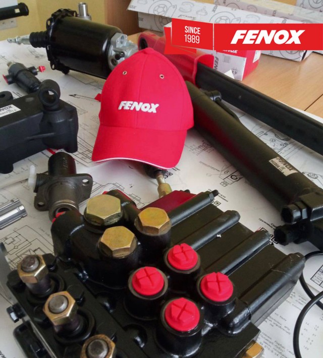Коучинг FENOX для клиентов в Полоцке!
