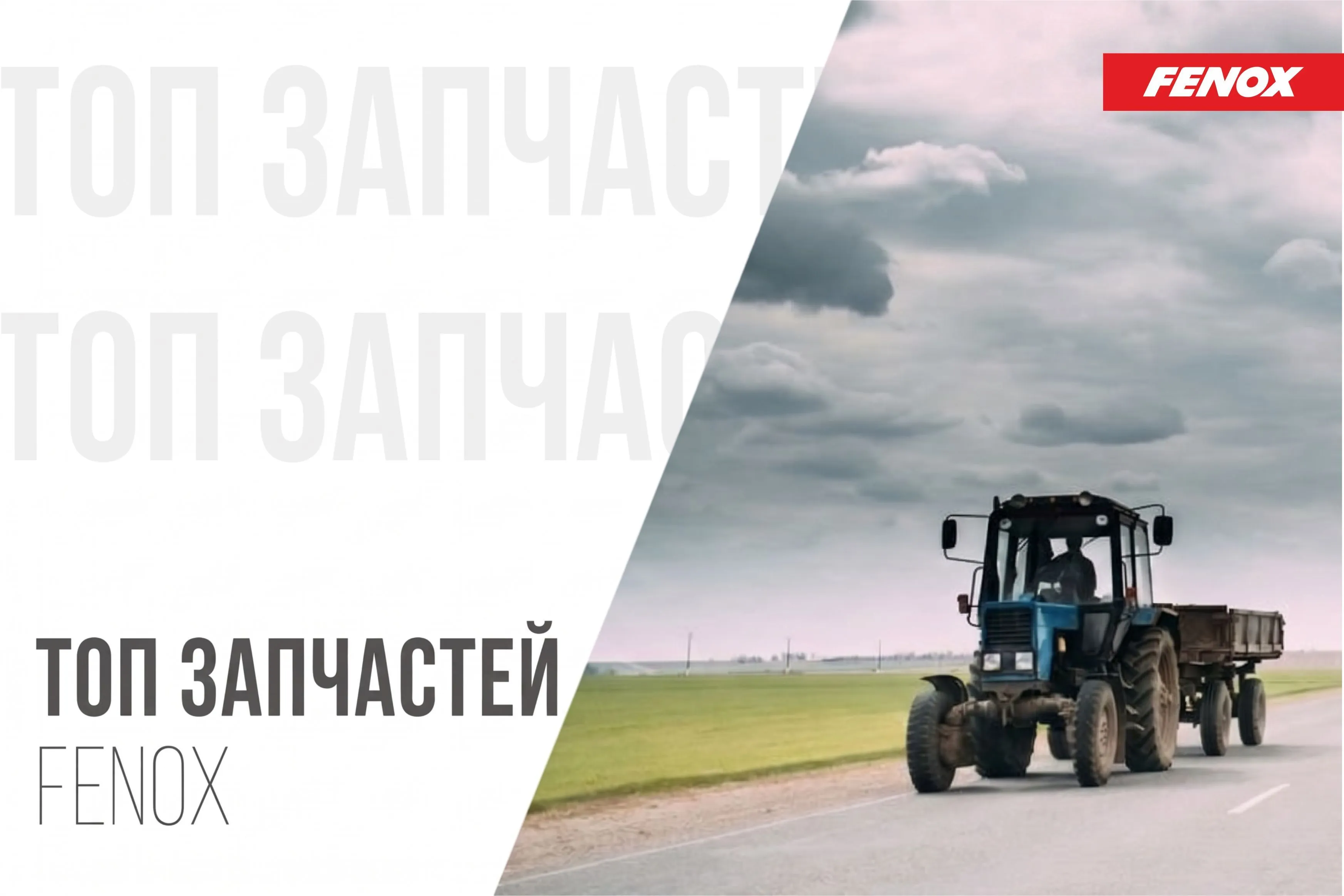 ТОП запчастей FENOX в июне